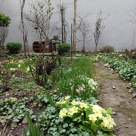 Ferienwohnung Piata Muzeului 1 Cluj-Napoca Exterior foto