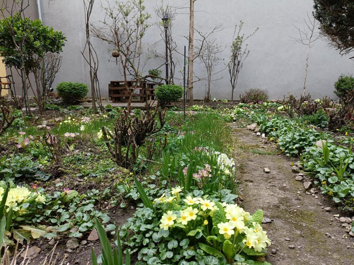 Ferienwohnung Piata Muzeului 1 Cluj-Napoca Exterior foto
